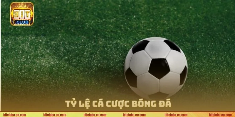 Tỷ lệ cá cược trực tuyến là thông tin quan trọng bet thủ cần nắm bắt.